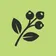 Bramble app icon