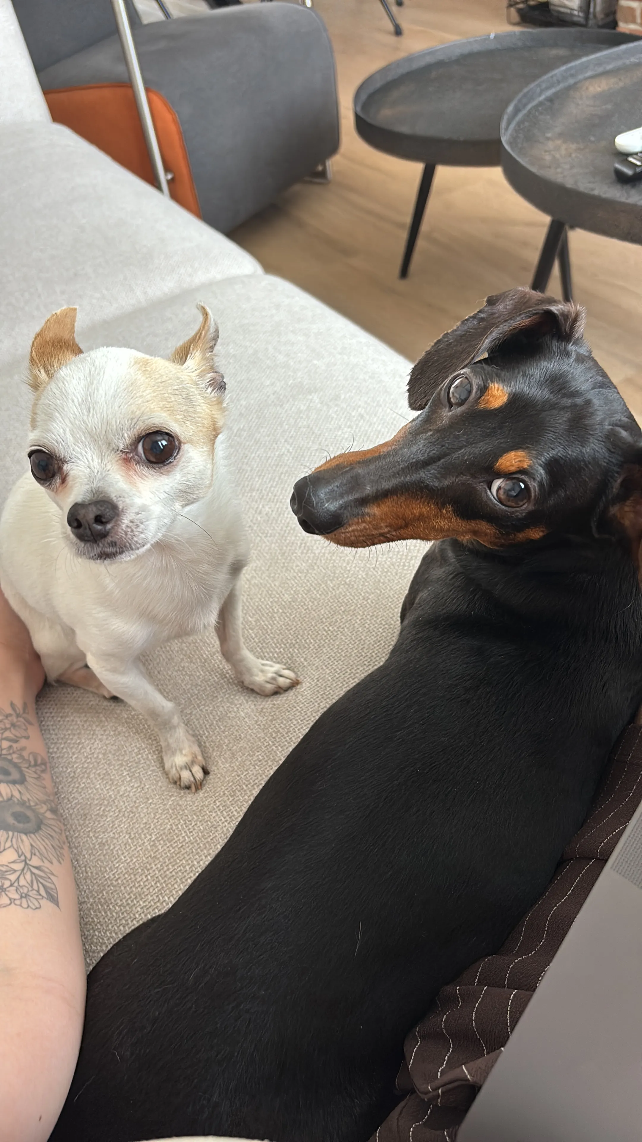 Beer and Rosie together
